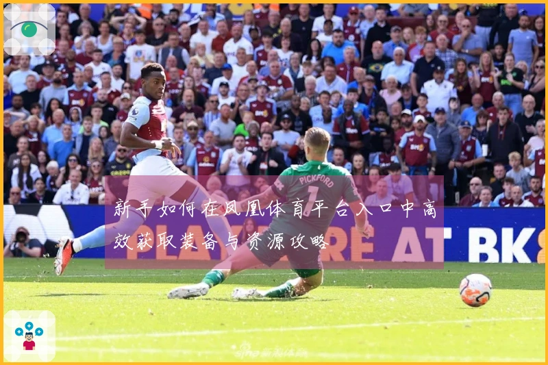 新手如何在凤凰体育平台入口中高效获取装备与资源攻略