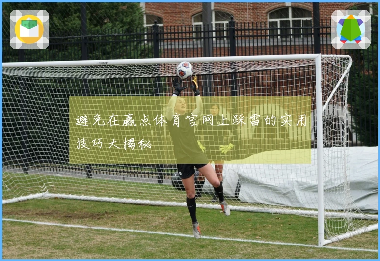 避免在赢点体育官网上踩雷的实用技巧大揭秘