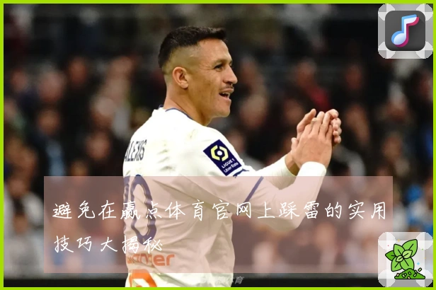 避免在赢点体育官网上踩雷的实用技巧大揭秘