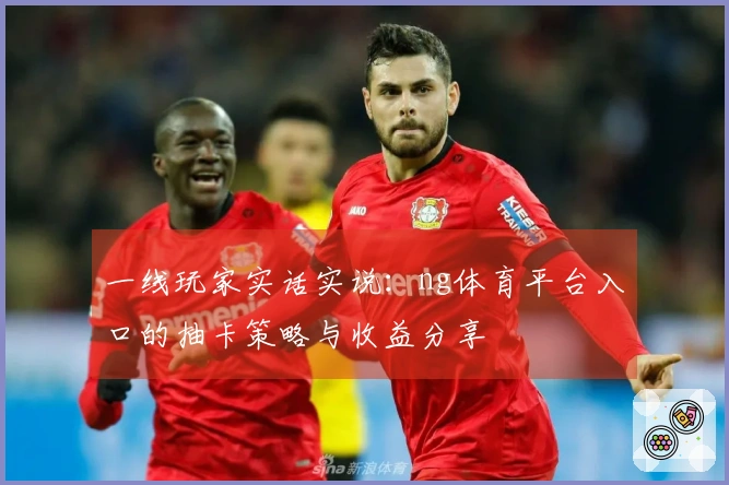 一线玩家实话实说：ng体育平台入口的抽卡策略与收益分享